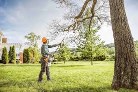 Best Tree Mulching  in Westhampton, NY