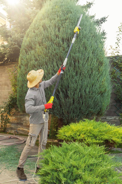 Best Aeration Services  in Westhampton, NY